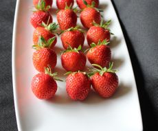 🥇 1st  Ex 12 Strawberry 'Cambridge Favourity' 
